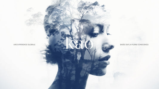 Les inscriptions MBSR à Casablanca sont ouvertes